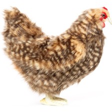 Islander Hen 28cmL Plush Soft Toy by Hansa - Authorised UK Stockist