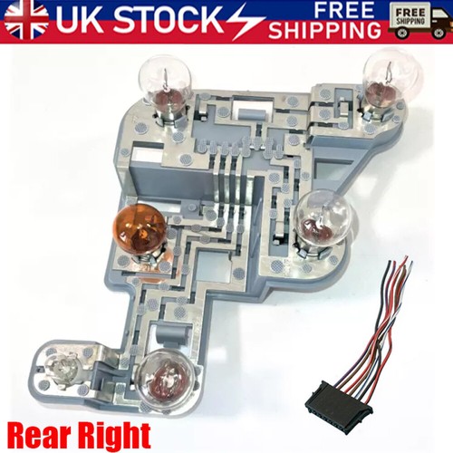 Rear lamp bulb holder - rh,