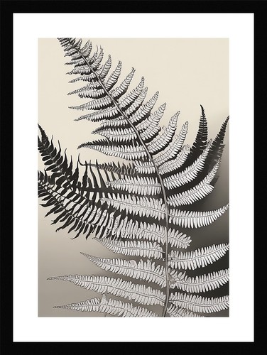 Serene fern fronds print - fern,