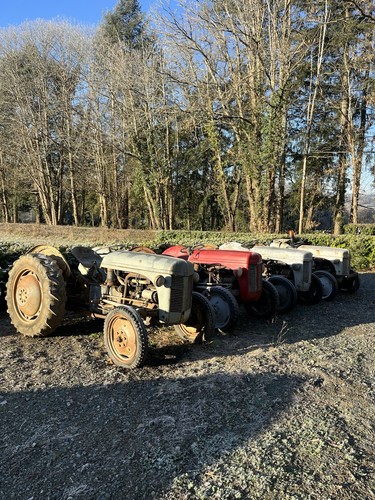 Ferguson tractors petrol and - ferguson,