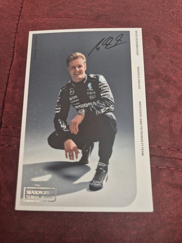 Mick schumacher 2024 mercedes - mick,