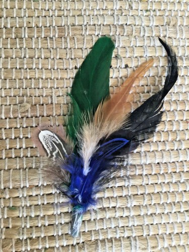 Feather for hat - ,