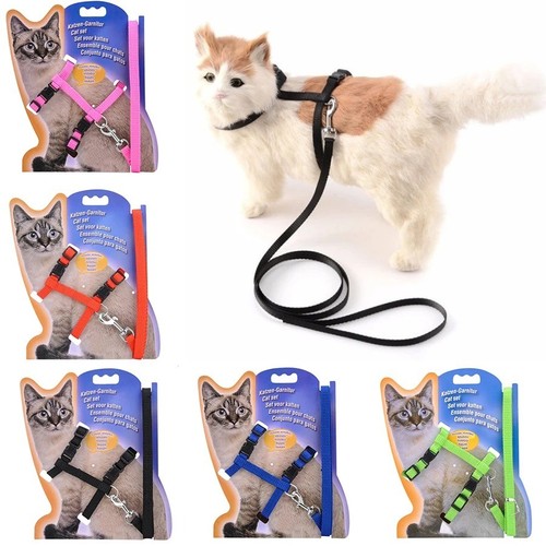 Cats ferrets pets adjustable - ferrets,