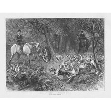 HARD PRESSED a Woodland