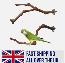 Wooden parrot bird stand - bird, tree