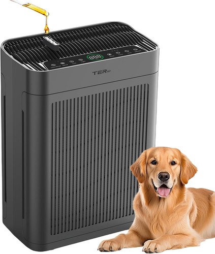 Air purifier home large - air, room
