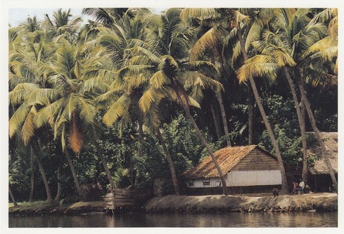 India kerala backwaters - kerala,