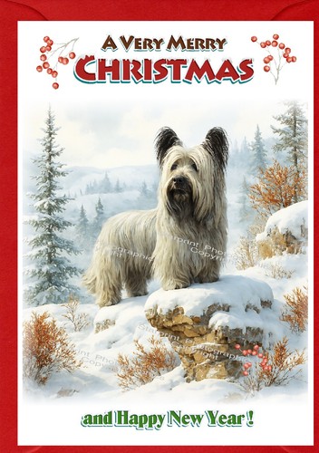 Skye terrier dog christmas - skye,