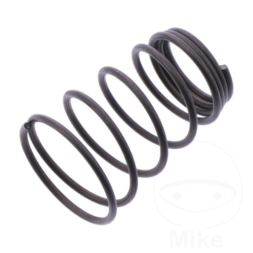 Oil strainer spring fits - oil, sachs