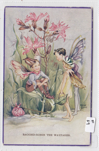 Rene cloke fairies ragged - ,
