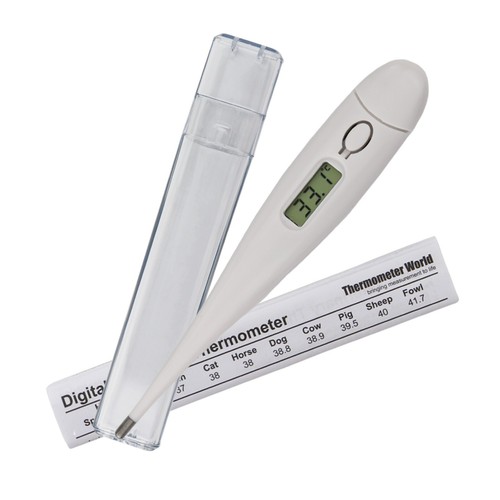 Pet thermometer dog cat - thermometer, horse
