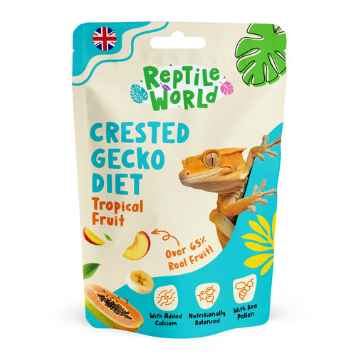 Reptile world crested - world, gecko