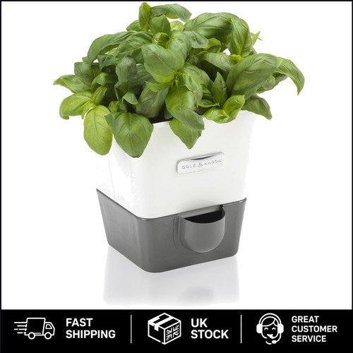 Modern indoor herb - indoor, planter