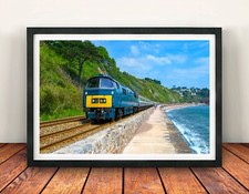 D1015 Western Champion Framed