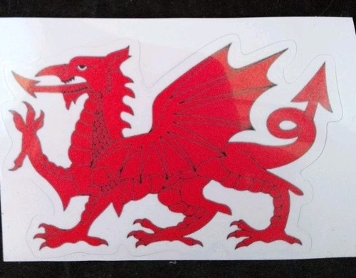 Welsh dragon workshop - dragon,