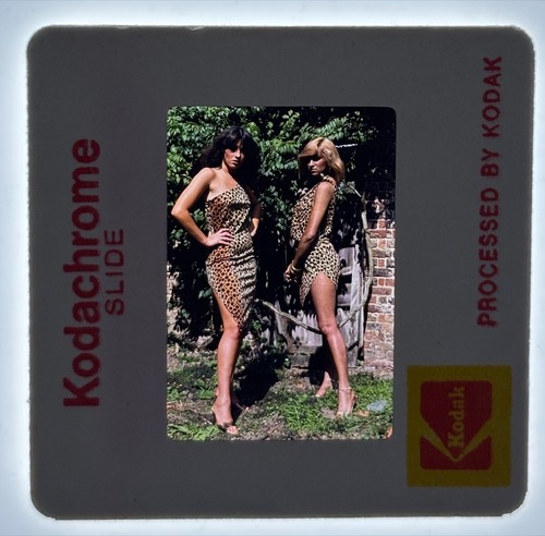 Melony holmes jackie st - holmes,