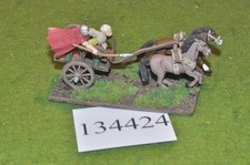 28mm dark ages / irish - 1