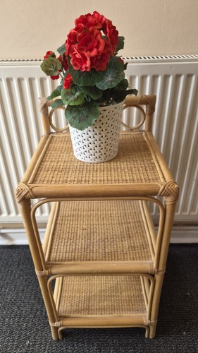 Vintage cane bamboo - cane, 3