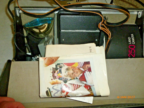 Vintage polaroid automatic 250 - polaroid,