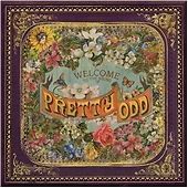 Panic the disco pretty - panic!,