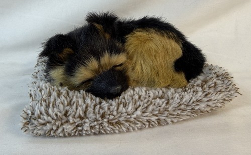 Perfect petzzz mini german - perfect,