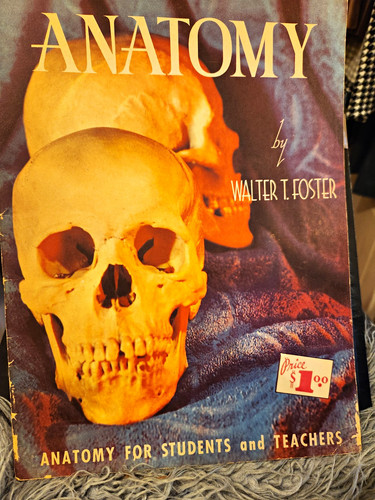 Walter foster anatomy - walter, t.