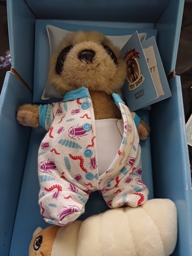 Baby oleg meerkat grub - baby, &