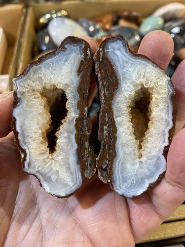 Polished mexican agate - mexican,