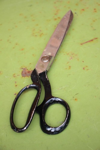 Vintage taylors eye witness - taylors,