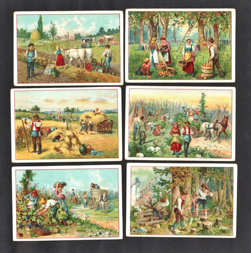Harvest time rare kluge - harvest,