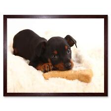 Photography Composition Animal