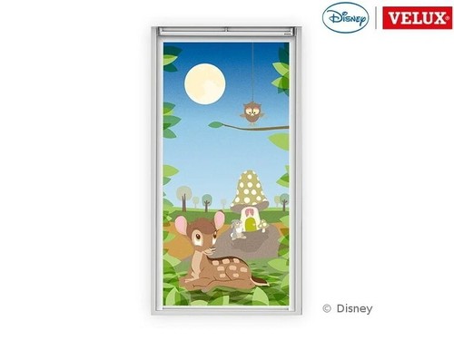One velux disney - one, 2