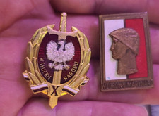 Polish Badges Excellent