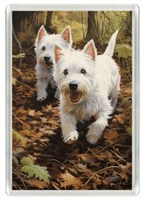 Westie west highland white - ,