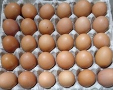 6 X Brown/cream Chicken Eggs
