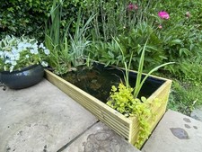 Raised Pond Garden Water