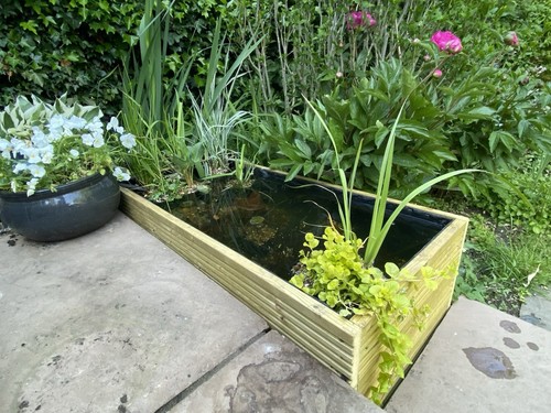 Raised pond garden water - pond,