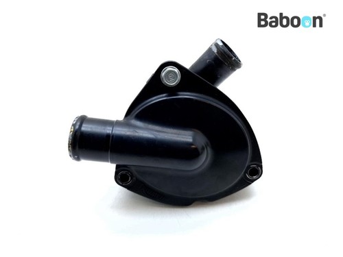 Water pump triumph tiger - water, 1050