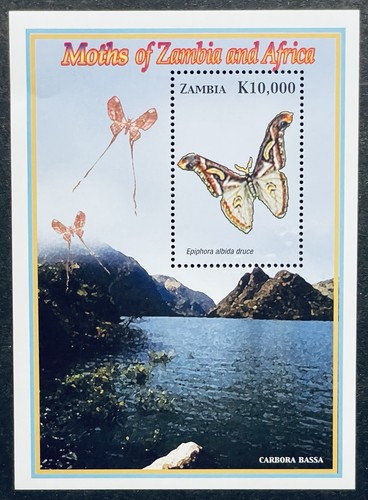 Zambia butterfly stamps 2005 - zambia,