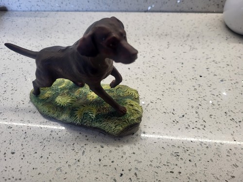 Vintage chocolate labrador - vintage,