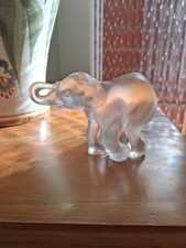 Lalique Baby Elephant Timori