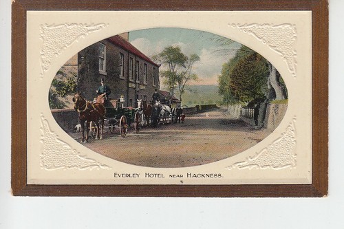 Horse drawn carriages - , at