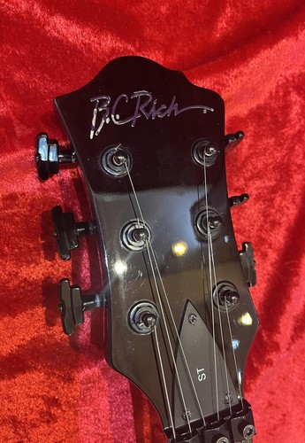 Rich mockingbird electric - rich,