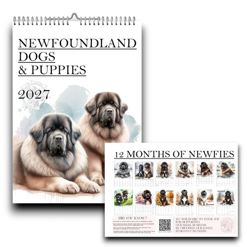 Newfoundland dog calendar - dog,