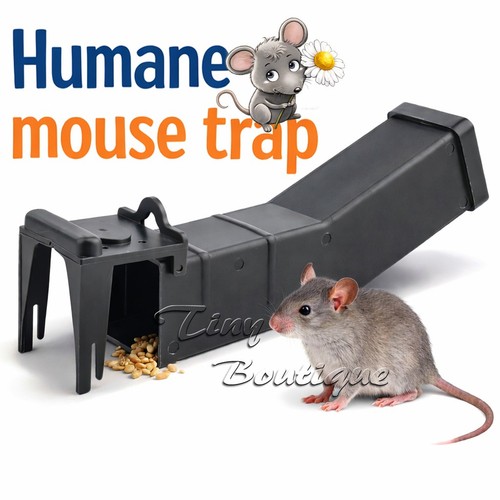Humane mouse trap no - mouse,