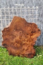 Timber Scottish Burr Elm Blank