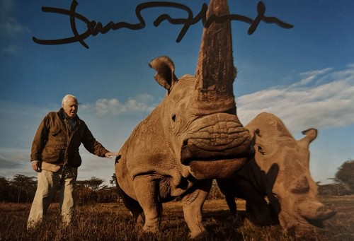 Genuine sir david attenborough - genuine,