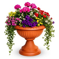 Grecian pots urn - urn, plant