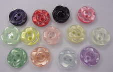 Pack Of 10 Traditional Fruit