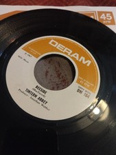 Tintern Abbey - Beeside /